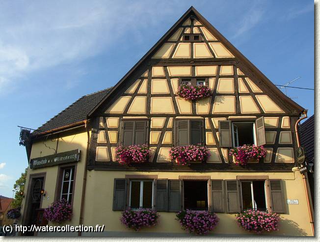 Diapositive suivante